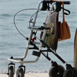 rollator, walker, seniors, mobility, walk, legs, old woman, old, lame, person, pensioner, frail, old people, mobility problems, push, security, maintenance, human, running, seniorin, rollator, rollator, rollator, rollator, rollator, walker, walker, walker