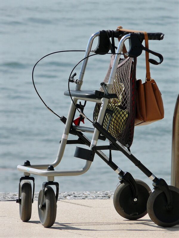 rollator, walker, seniors, mobility, walk, legs, old woman, old, lame, person, pensioner, frail, old people, mobility problems, push, security, maintenance, human, running, seniorin, rollator, rollator, rollator, rollator, rollator, walker, walker, walker